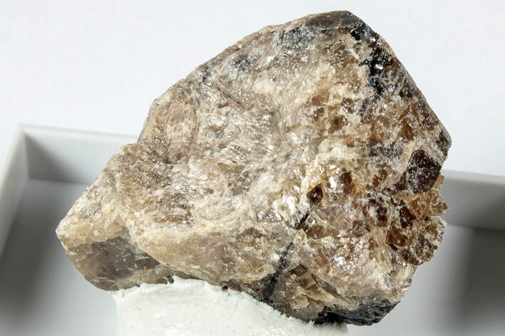 Lustrous Cassiterite Crystal - Rwanda #345053